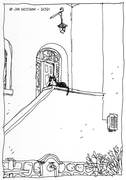 Le chat devant la porte