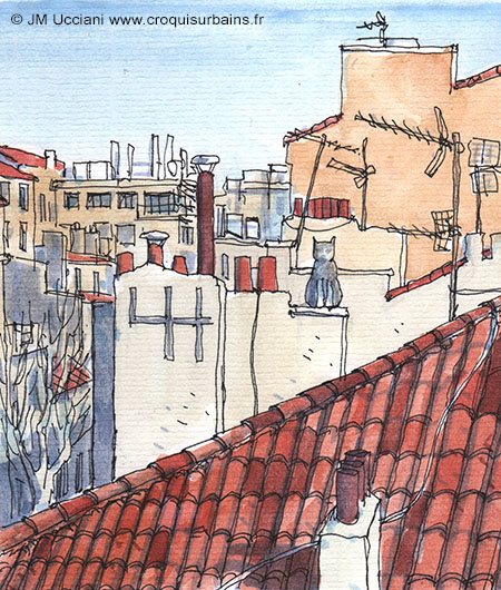 Sur les toits de Marseille avec un chat