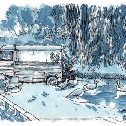25-10-citroen-mare-canards-2