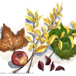 Feuilles d'automne et grenade