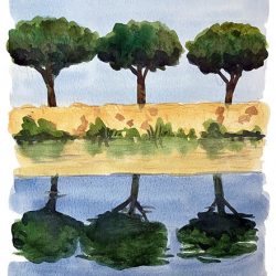 26-8-reflets-arbres-cabannes-2